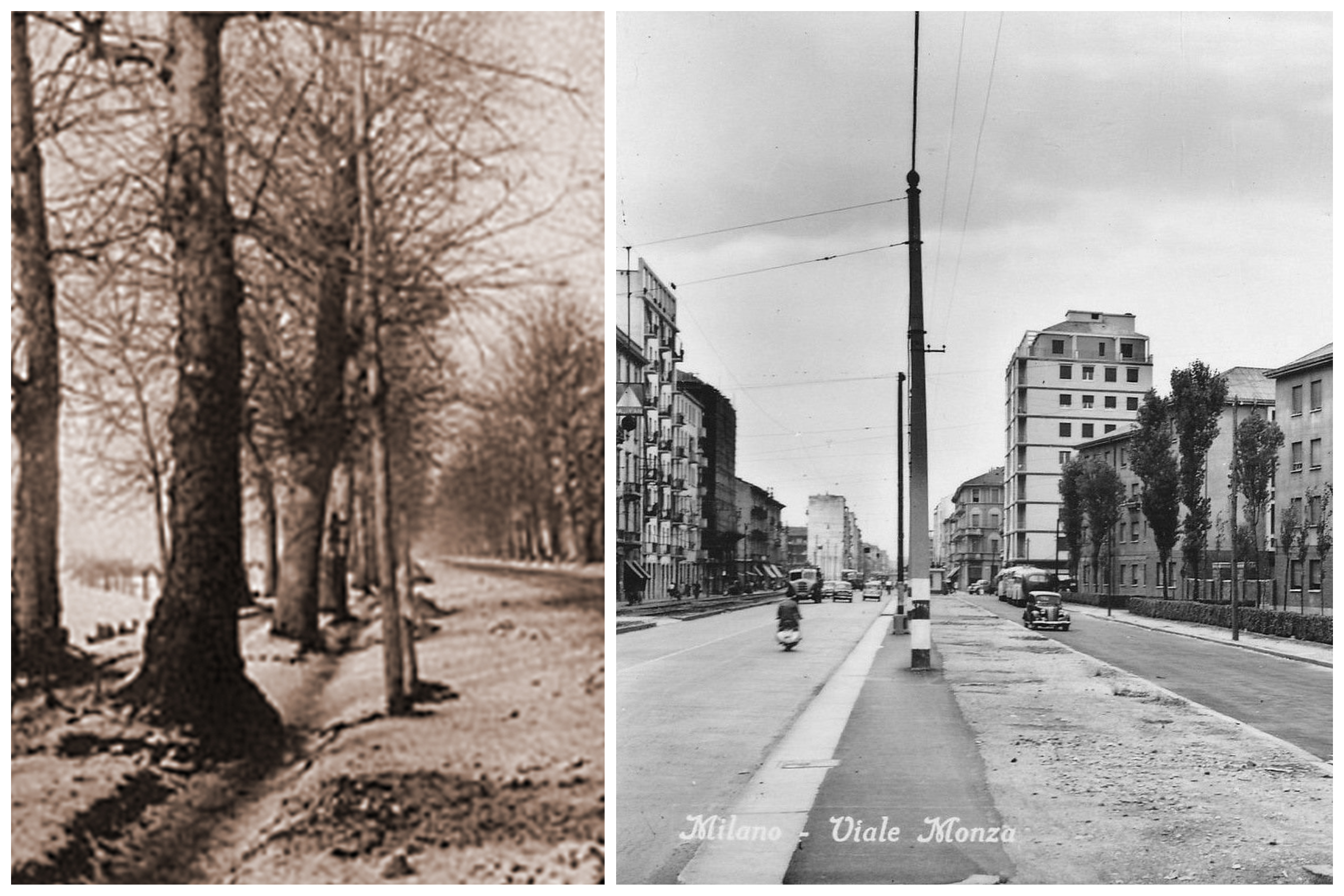 Viale Monza